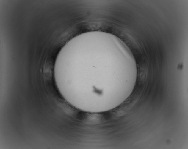 X0000101100226200807171920