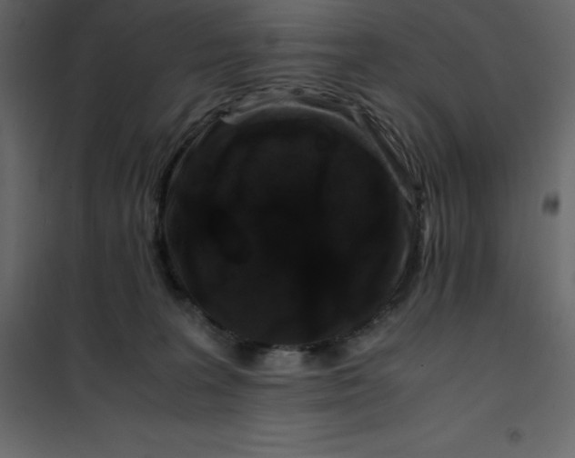 X0000101100227200807171920