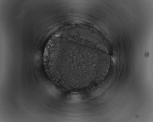 X0000101100228200807171920