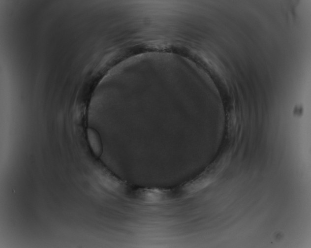 X0000101100229200807171920