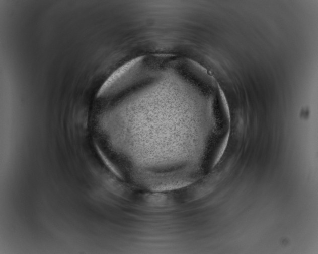 X0000101100230200807171920