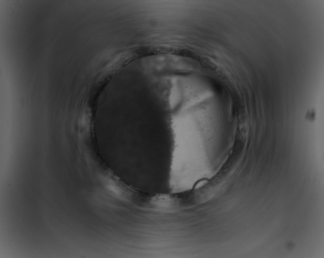 X0000101100231200807171920