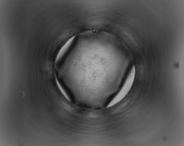 X0000101100232200807171920