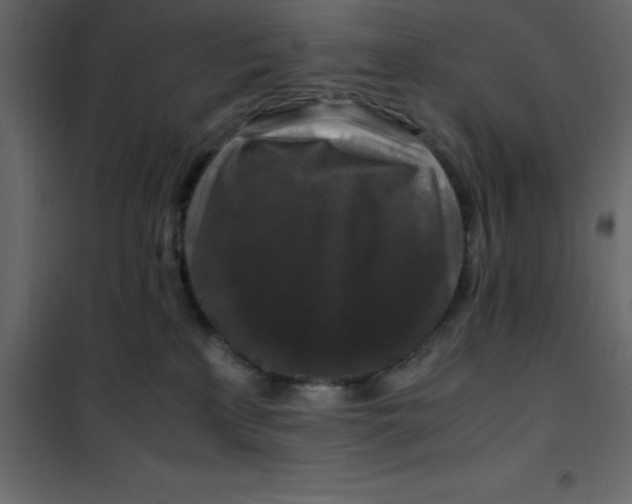 X0000101100233200807171919