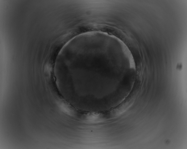 X0000101100235200807171919