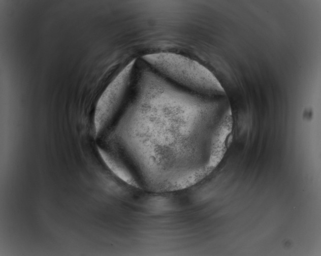 X0000101100236200807171919