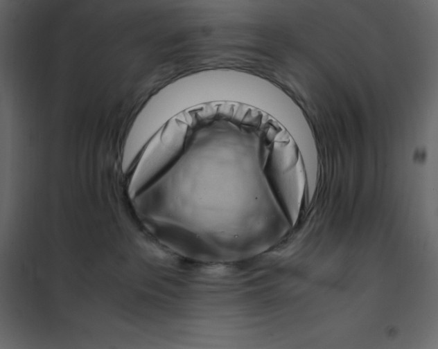 X0000101100237200807171919