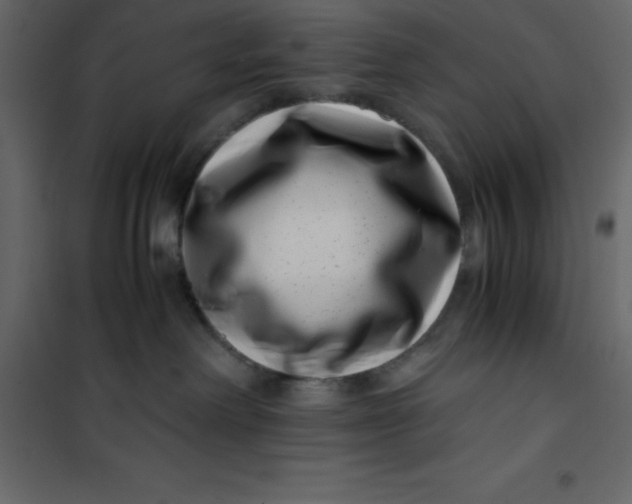 X0000101100238200807171919