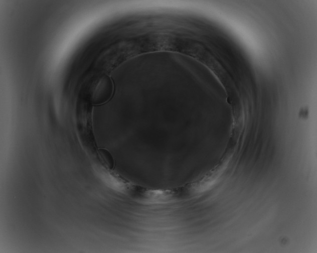 X0000101100239200807171919