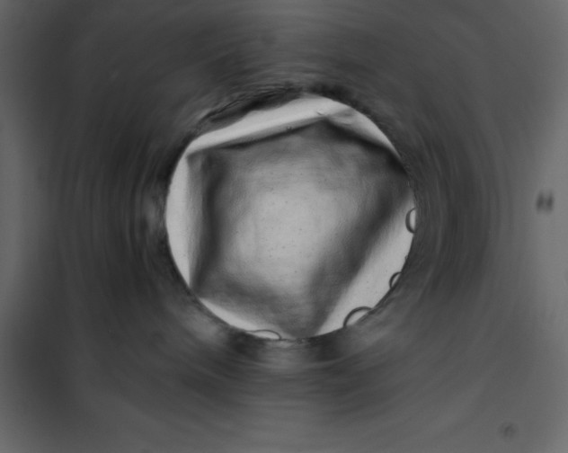 X0000101100240200807171919