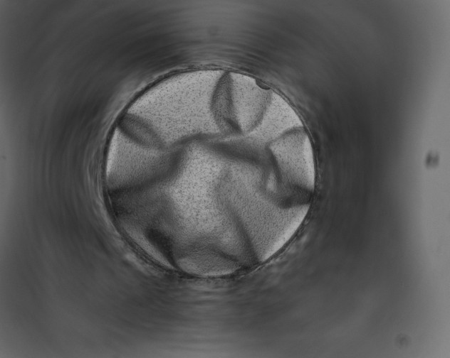 X0000101100241200807171919