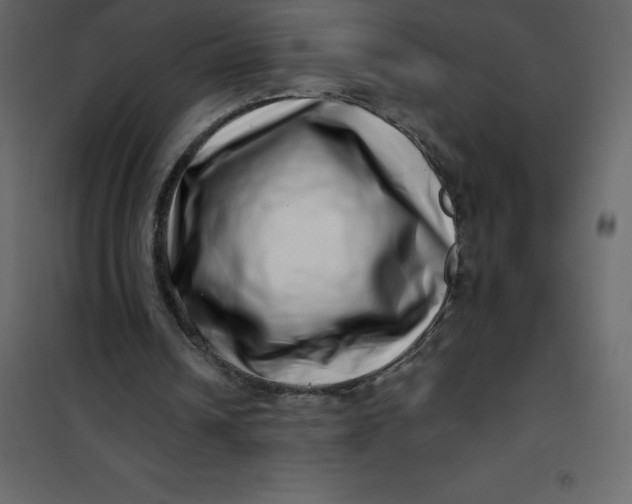 X0000101100242200807171919