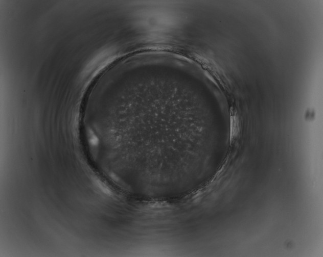 X0000101100243200807171919