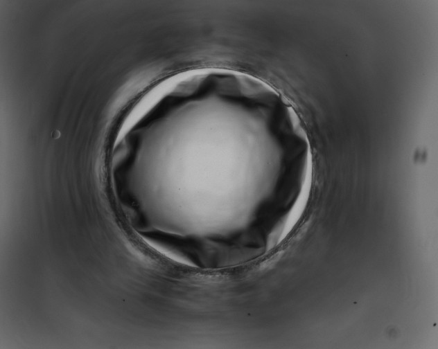 X0000101100245200807171919