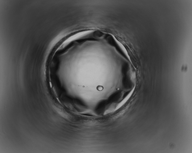 X0000101100246200807171919