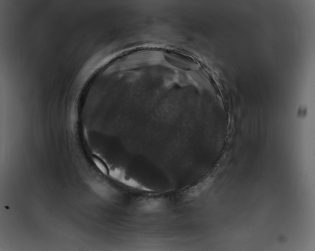 X0000101100247200807171919