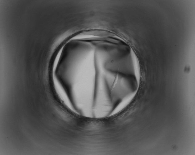 X0000101100248200807171919