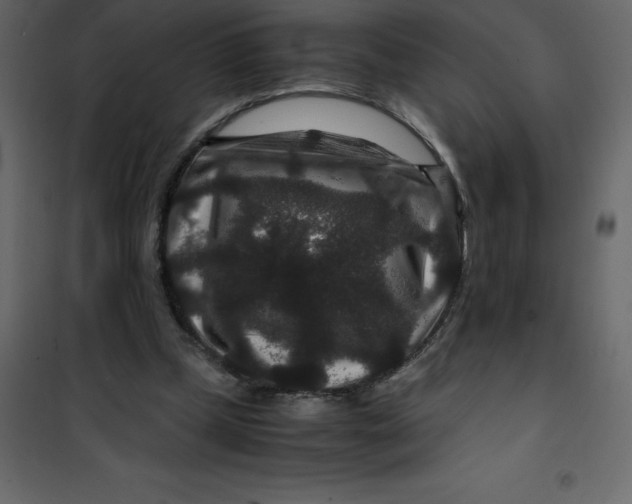 X0000101100249200807171919