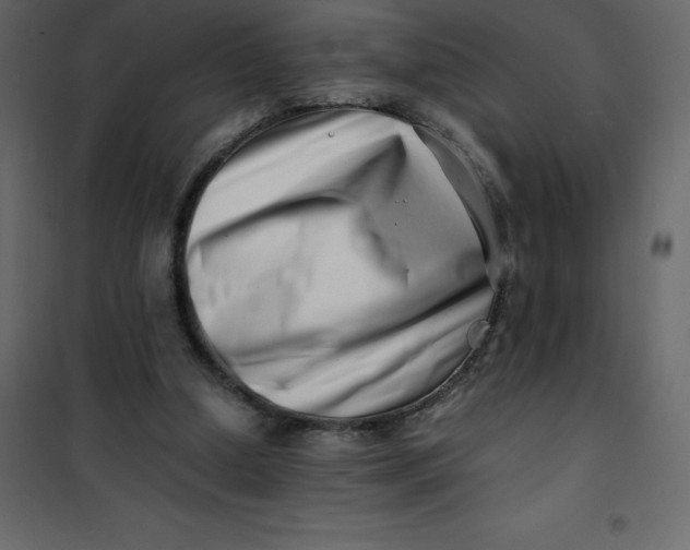 X0000101100250200807171919