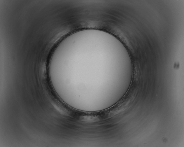 X0000101100251200807171919