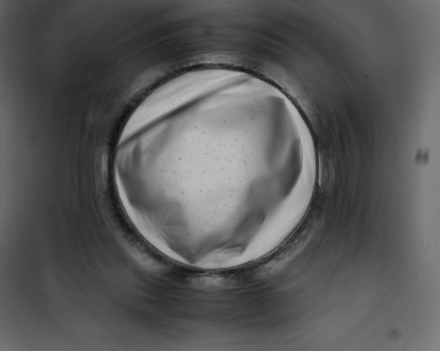 X0000101100253200807171919