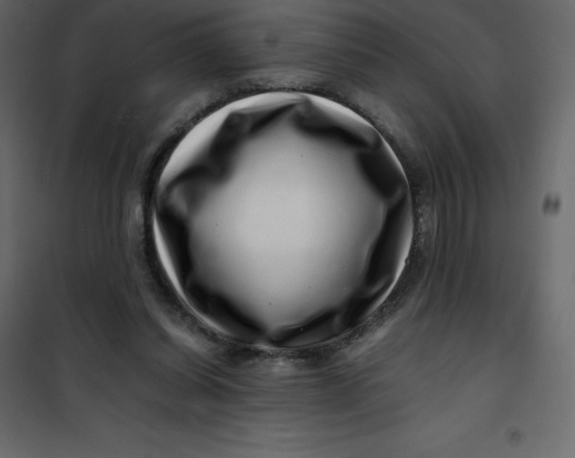 X0000101100254200807171919