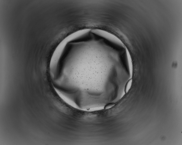 X0000101100257200807171919