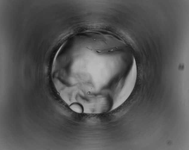 X0000101100258200807171919