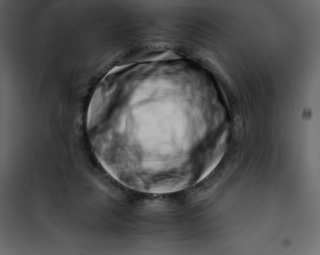 X0000101100259200807171919