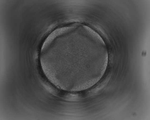 X0000101100260200807171919