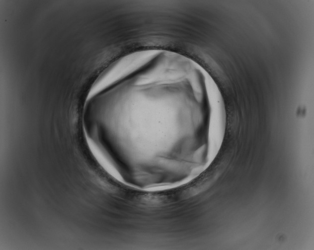 X0000101100261200807171919