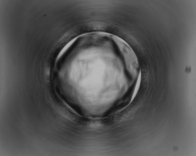 X0000101100262200807171919