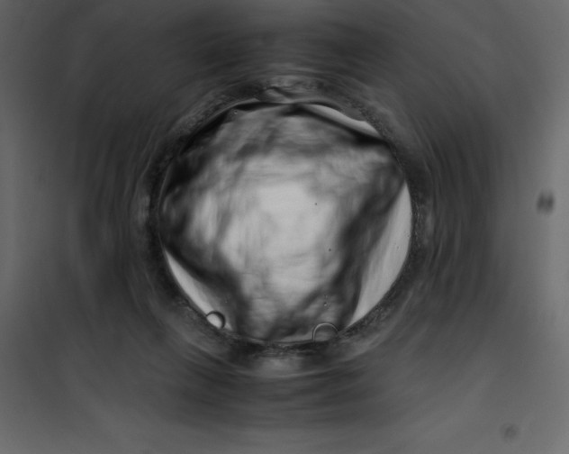 X0000101100263200807171919