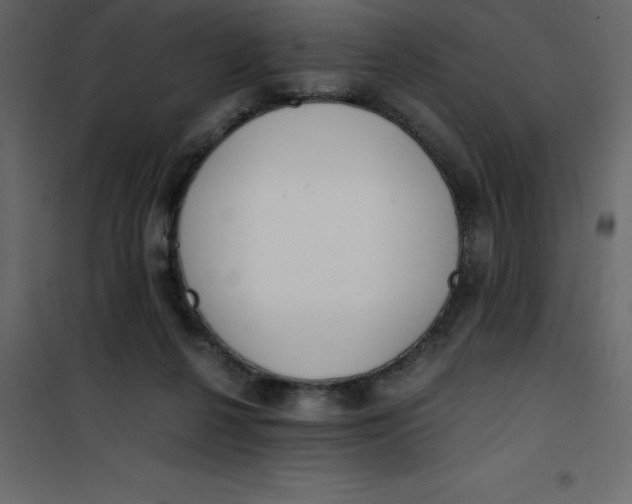 X0000101100264200807171919