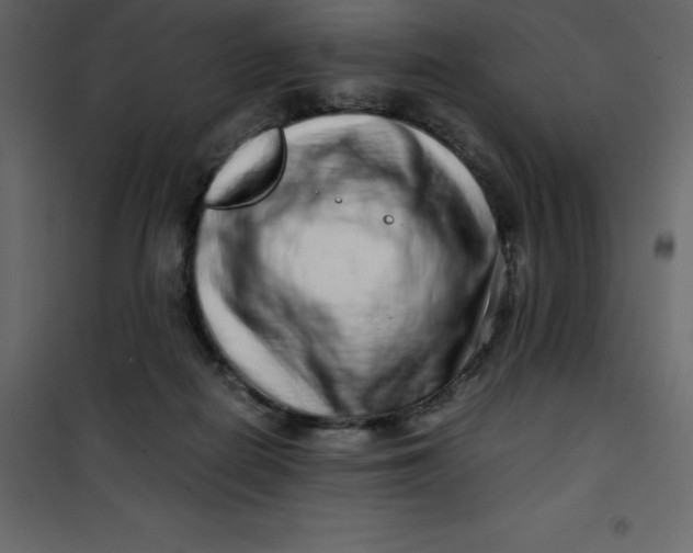 X0000101100266200807171919