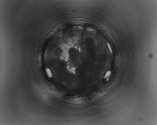 X0000101100267200807171919