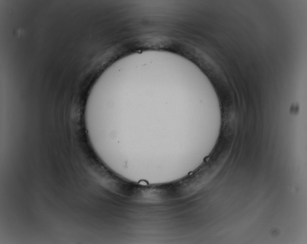 X0000101100268200807171919