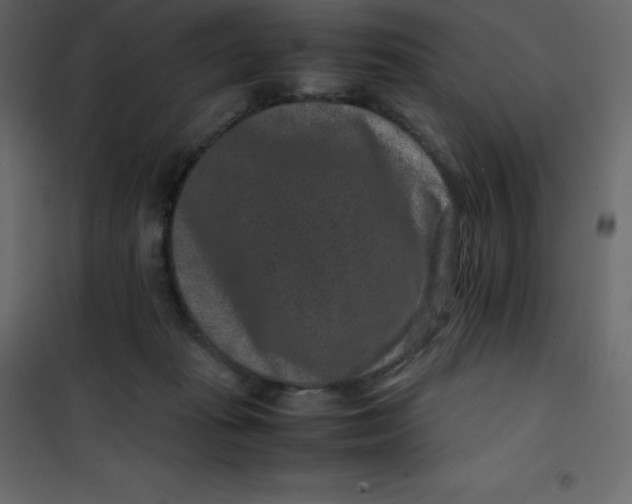 X0000101100269200807171919