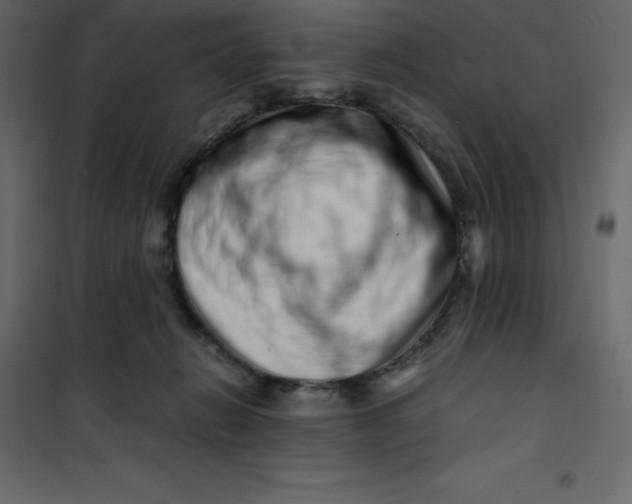 X0000101100270200807171919