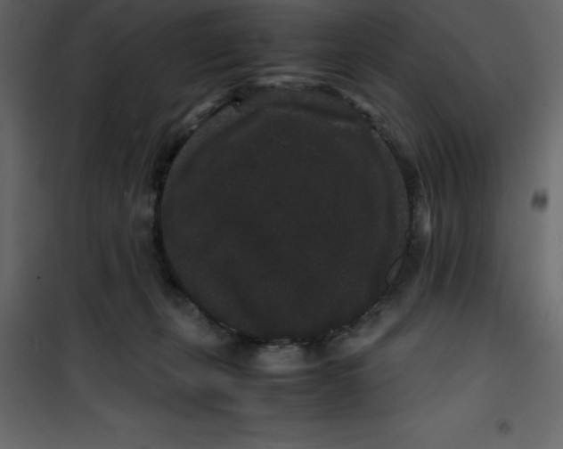 X0000101100271200807171919