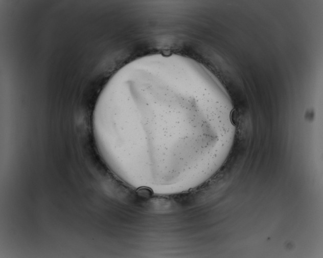 X0000101100272200807171919