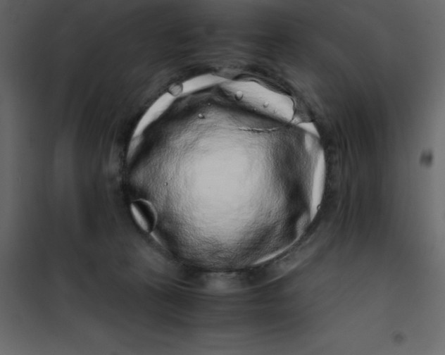 X0000101100273200807171919