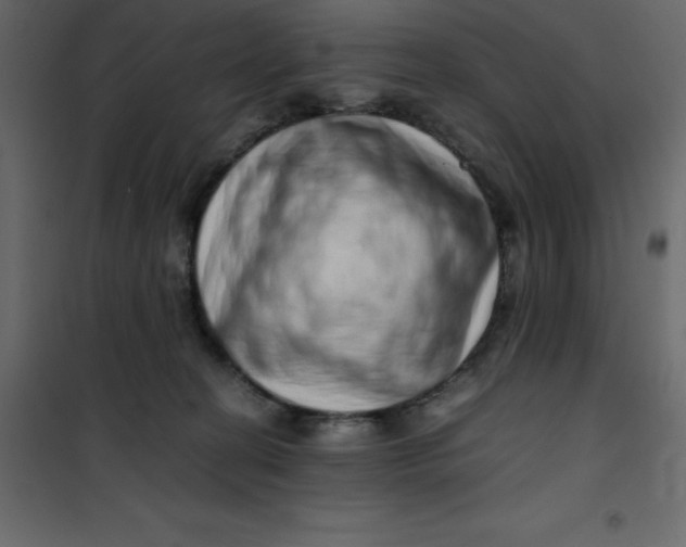 X0000101100274200807171919