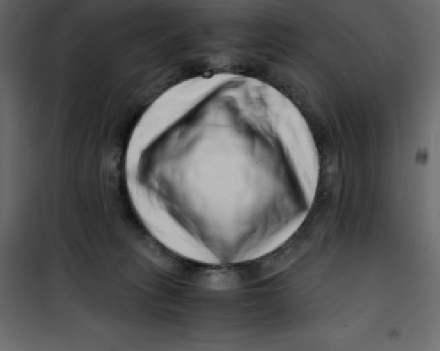 X0000101100275200807171919