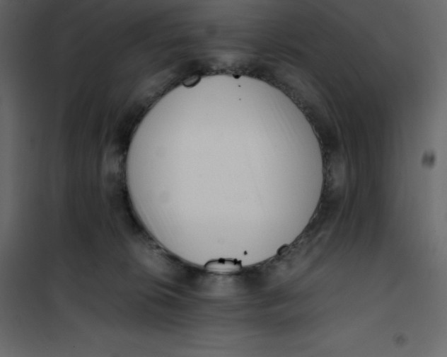 X0000101100276200807171919