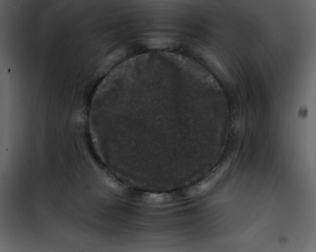 X0000101100277200807171919