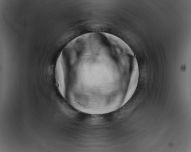 X0000101100278200807171919