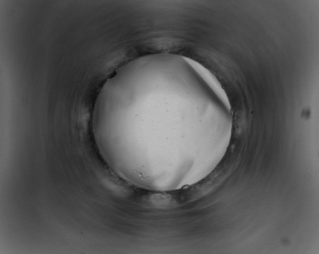 X0000101100279200807171919