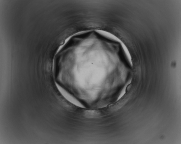 X0000101100281200807171919