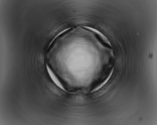 X0000101100282200807171919